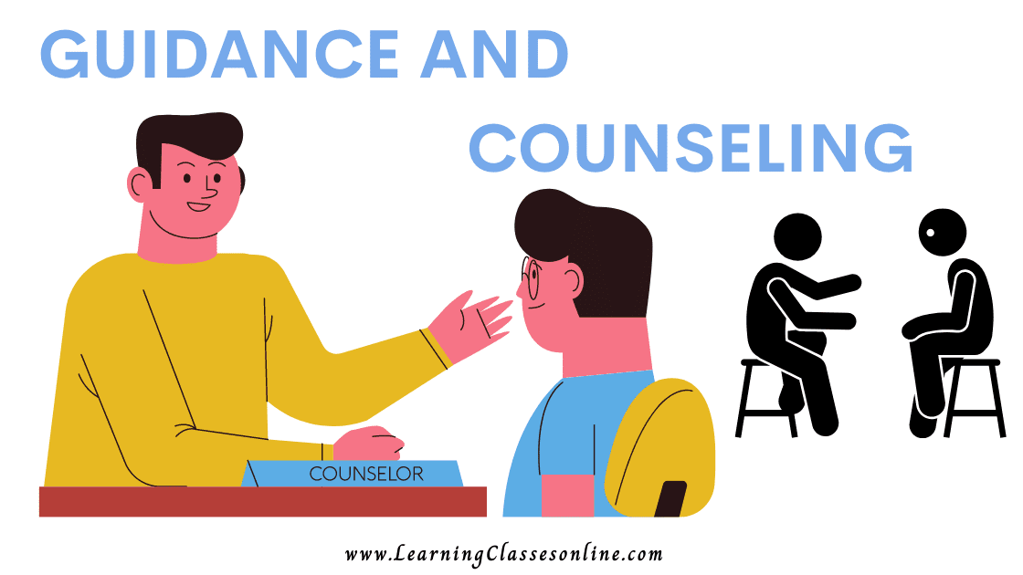 2081 Educational Guidance and Counselling 